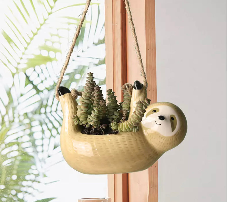 succulent in sloth planter