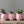 Load image into Gallery viewer, Set of 3 Owl Planters
