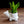 Load image into Gallery viewer, Ceramic Turtle Planter
