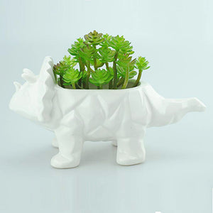 porcelin pots dinosaur planter for succulent
