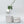 Load image into Gallery viewer, Waterproof Kraft Paper Plant Pot
