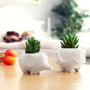 Mother & Baby Elephant Planters