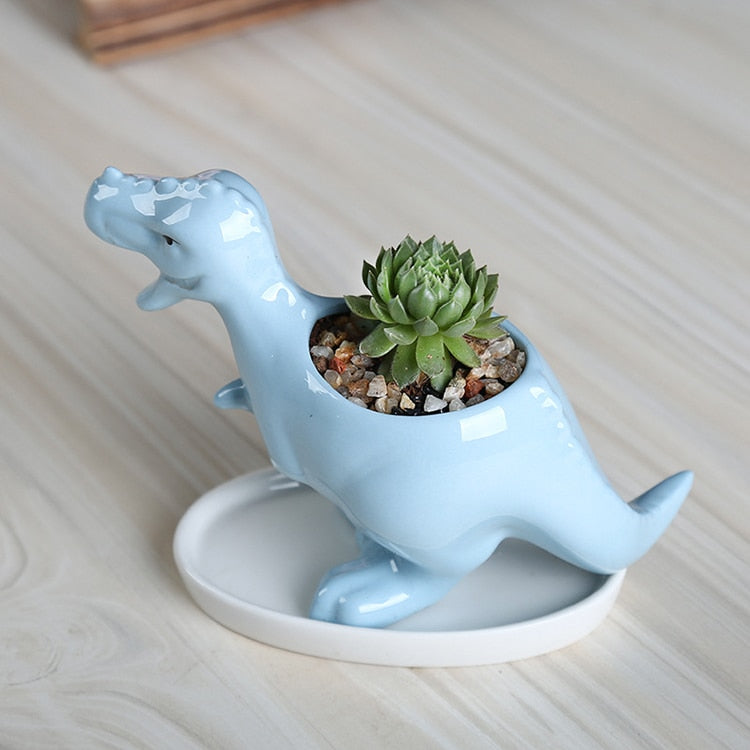 blue t rex planter for succulents with drainage tray