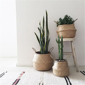 Plant Storage Basket