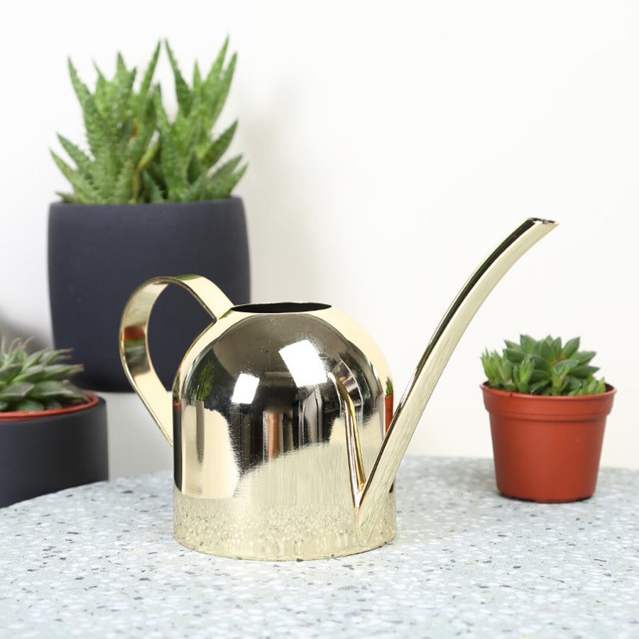 Stylish Watering Can